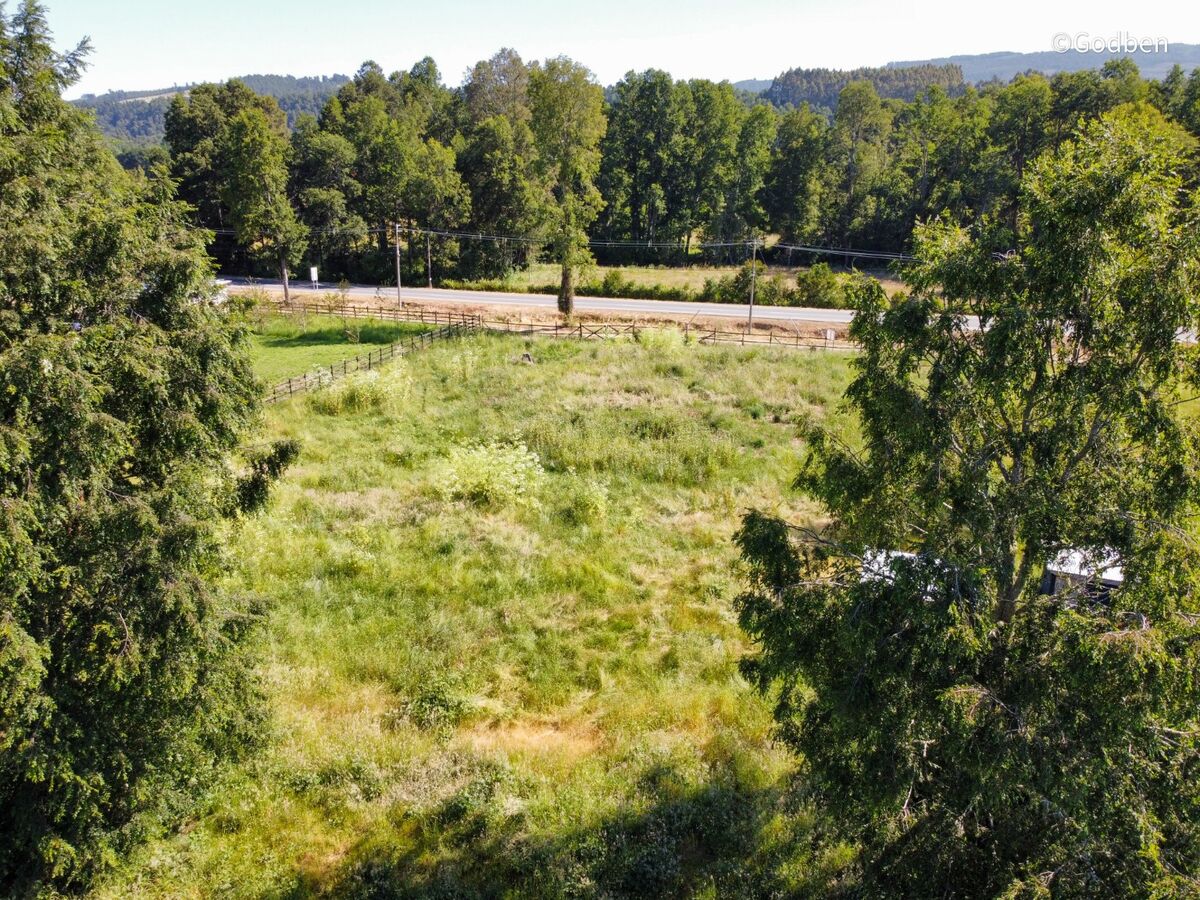 Sector plano de la parcela