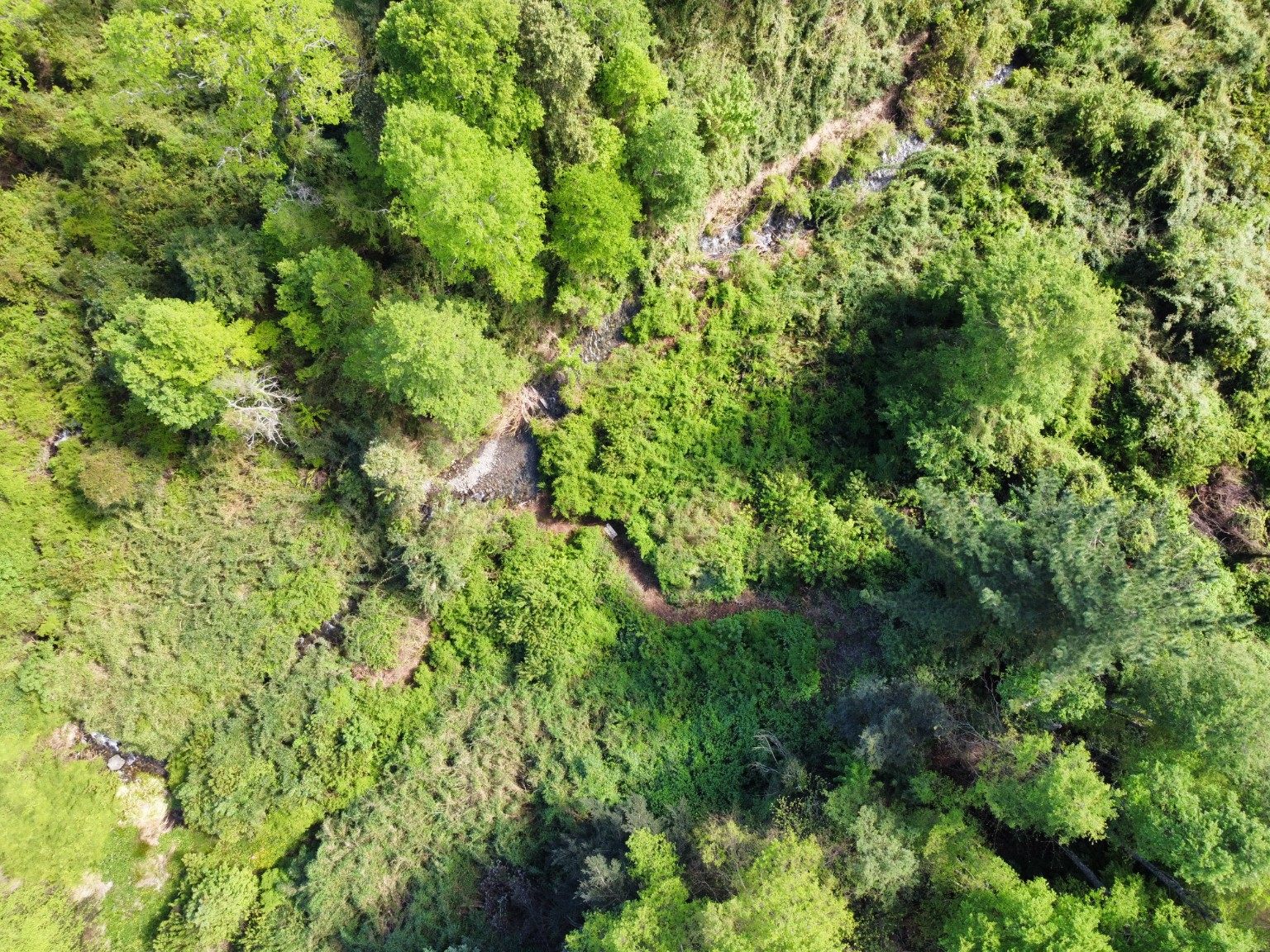 Vista aérea de vegetación y curso de agua visible en el entorno